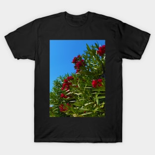 Red Mediterranean Flowers T-Shirt